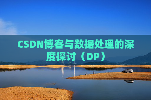 CSDN博客与数据处理的深度探讨（DP）